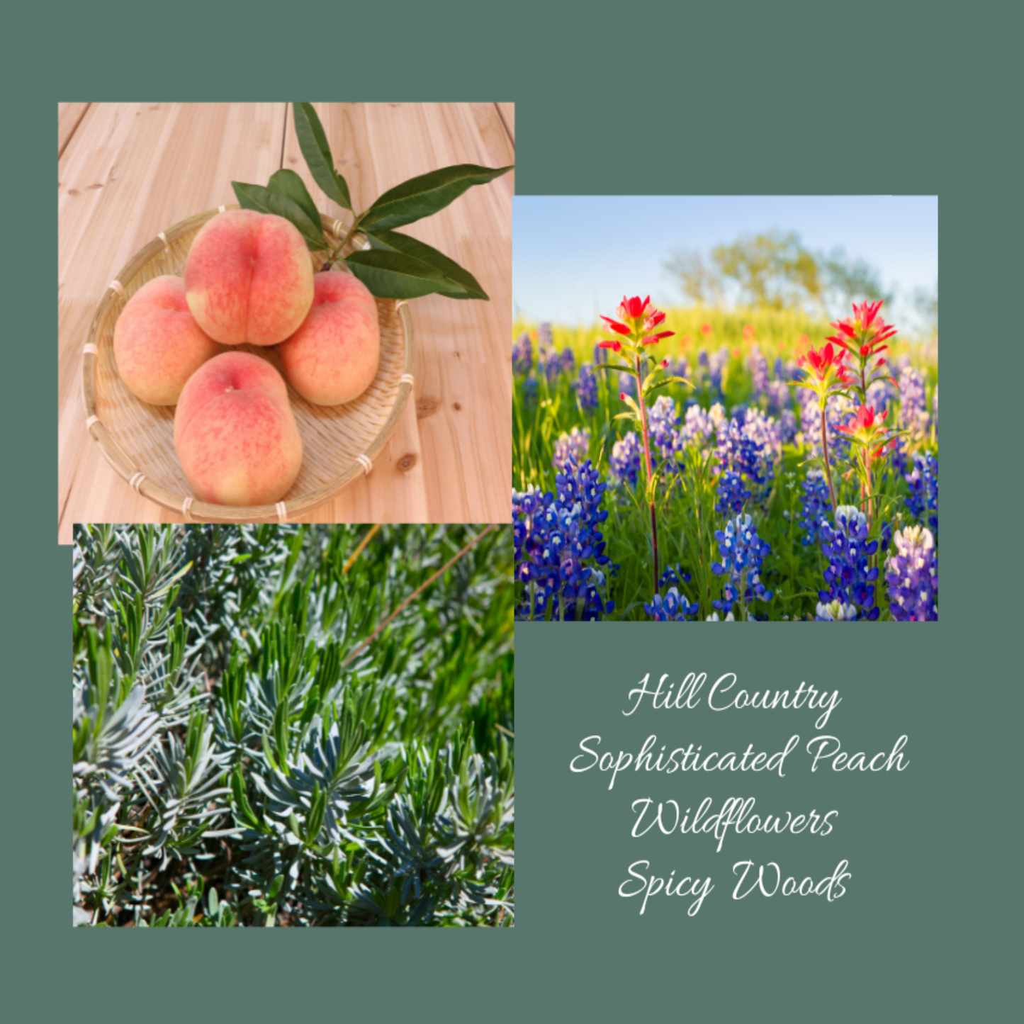 Hill Country 30ml