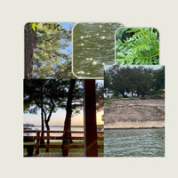 A Day at The Lake Eau De Toilette/Perfume 30 ml + Free Travel Vial