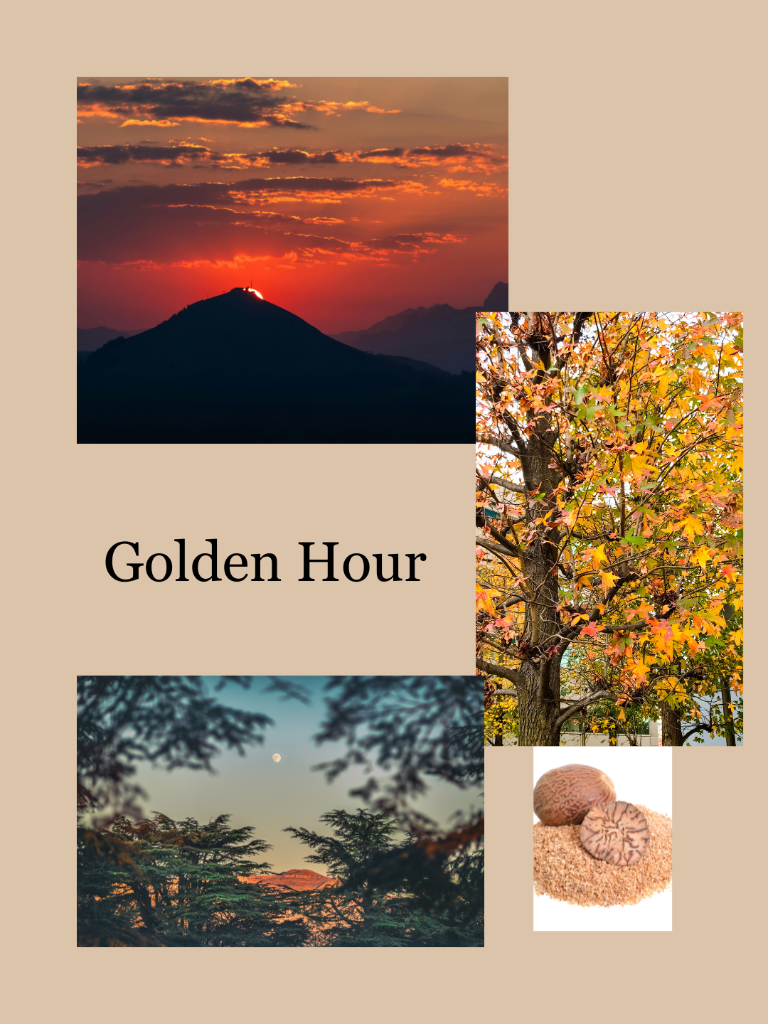 Golden Hour 15 mL EDT