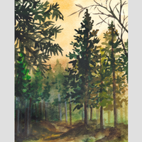 Piney Woods 15 mL EDT