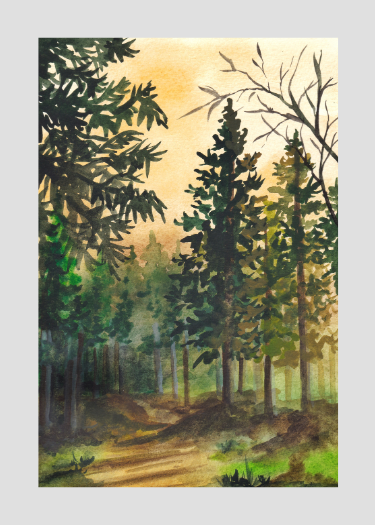 Piney Woods 15 mL EDT