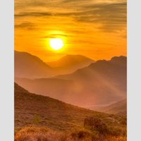 Golden Hour 15 mL EDT