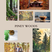 Piney Woods 15 mL EDT