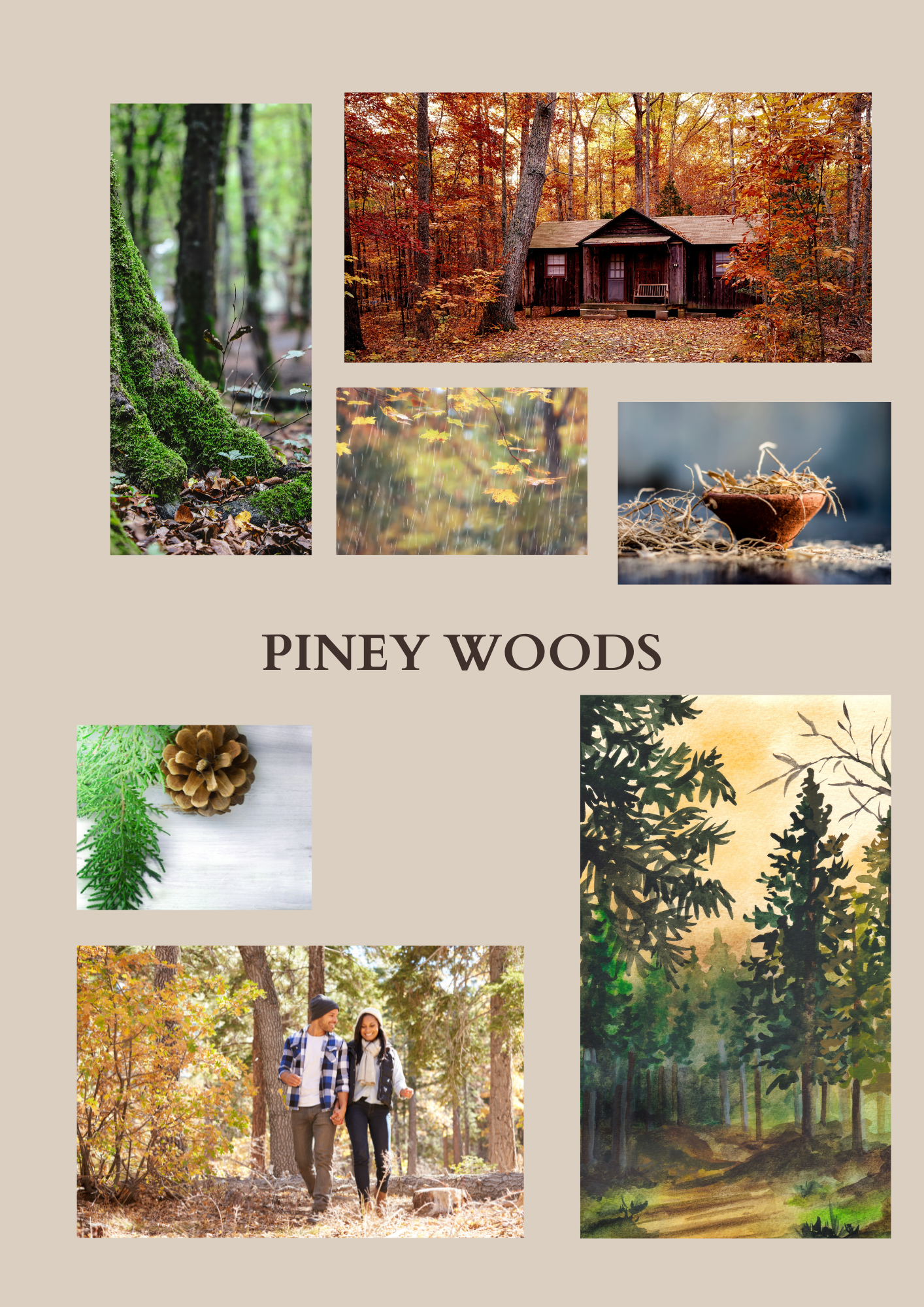 Piney Woods 15 mL EDT